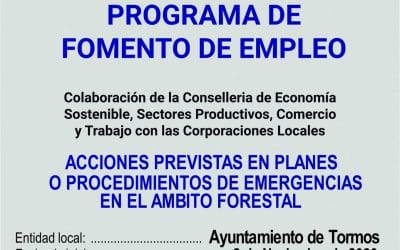 Programa de fomento de empleo