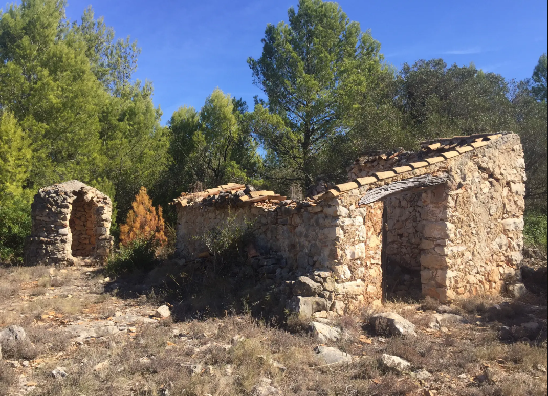 cami d'orba